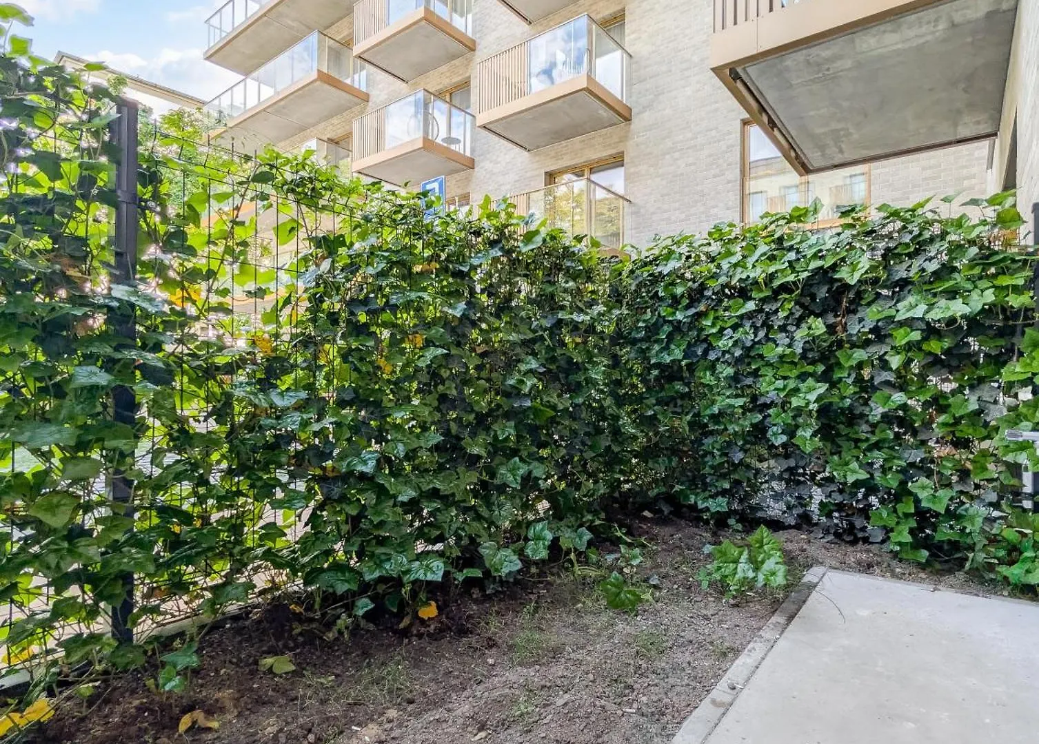 Czysta Urban Living Studio 弗罗茨瓦夫